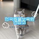 동물보육원 경기 평택 | 평택고양이파양, 동물보육원을 선택한 이유