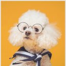 헬로우컷 이미지