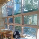 롯데프라자 | 정관읍미용실에서 만족한 기장미용실 매직 후기