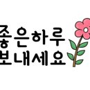 셀빨래방 이미지