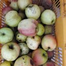 초촌농장 이미지