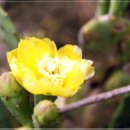 용수절부암 이미지