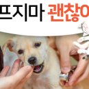 성남동물병원 이미지