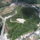 매화공원 이미지