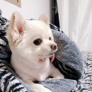 은비랜드 이미지