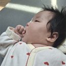 중앙복떡 | 고양시에서 아기 백일 준비하기(feat 고양시 육아종합지원센터)