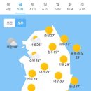 5월 31일 주요신문 헤드라인