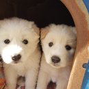 늘해랑가족펜션 이미지