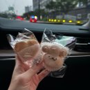 w36 본식 후기 : 강변 웨딩스퀘어, 보타니, 제이스포사, 김활란 뮤제네프, 메이베르플라워 부케, 백색지...