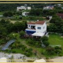 강아지 보호센터 이미지