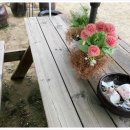 세종설렁탕