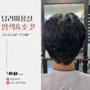 드가헤어 이미지