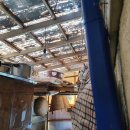 삐돌이네 이미지