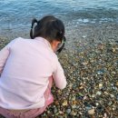 하저해수욕장(모래사장) 이미지