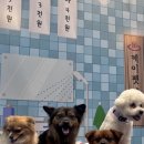 파크탕 이미지