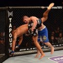 석사체육관 이미지