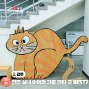 한솔어린이공원 | 전북 전주 여행 코스 실내 아이와 가볼 만한 곳 Best 7