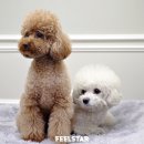 아이뚜리 이미지