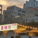분홍돼지 이미지