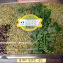 콩과두부 이미지