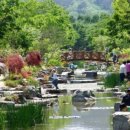 멕시카나치킨(맥시카나 치킨) 이미지