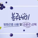 블루베리 방화곤충 사용 및 수분수 선택 이미지