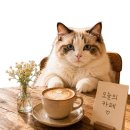 6747 | [김해 카페] 분위기부터 압도적인 대형카페 Patio6747 (파티오6747) 봉황동 늦게까지 하는 카페