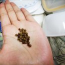 로이한의원 이미지