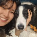 마이리틀갱스타 | 다산 애견동반 마이리틀갱스타 중대형견도 환영하는 펫프랜들리카페