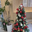 덕성치과의원 이미지