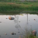 광양동천변