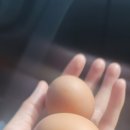 신씨네농장 이미지