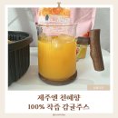 바른길 | 상큼함이 다르다! 디앤씨바이오 바른길푸드 제주엔 천혜향 100% 착즙 감귤주스 후기