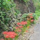 약골자전거도로 이미지