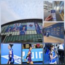 IBK기업은행 | IBK 기업 은행 알토스 배구단 흥국생 직관 후기