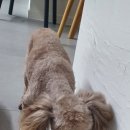 남현우동물병원 이미지