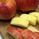 준 농장 이미지