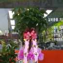 횡성의료기 이미지