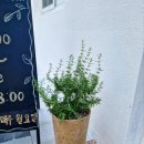 태백가든 이미지