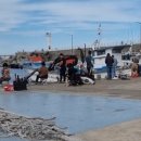 대박카센타 이미지