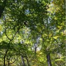 순천-36호 | 기동회 친구들과 함께한 조계산 천년불심(千年佛心)길