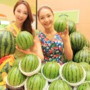 신세계청과 이미지