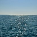 바위영어조합법인 이미지