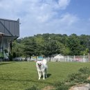 시흥계곡 주차장 이미지