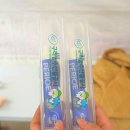 코스모스기념품