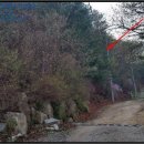 양동초등학교고송분교장 이미지