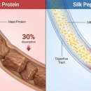 주식회사 성벽 이미지