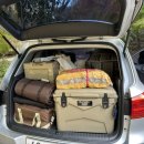 궁지골농원 이미지