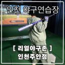 수목 스크린 | 인천스크린야구 아이와가볼만한 곳 리얼야구존 방문후기