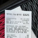 지에스25 오치사랑점 | 일요일 간단 일상 : 더오치맥시멈2세트,GS25 프로즌소르베망고맛